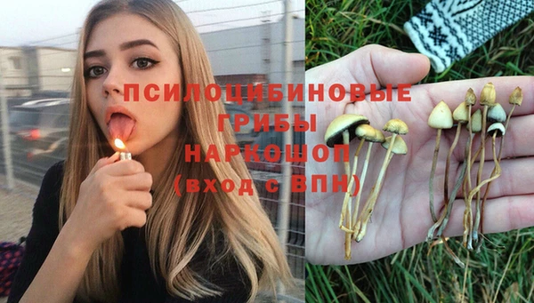 соль курить ск Пересвет